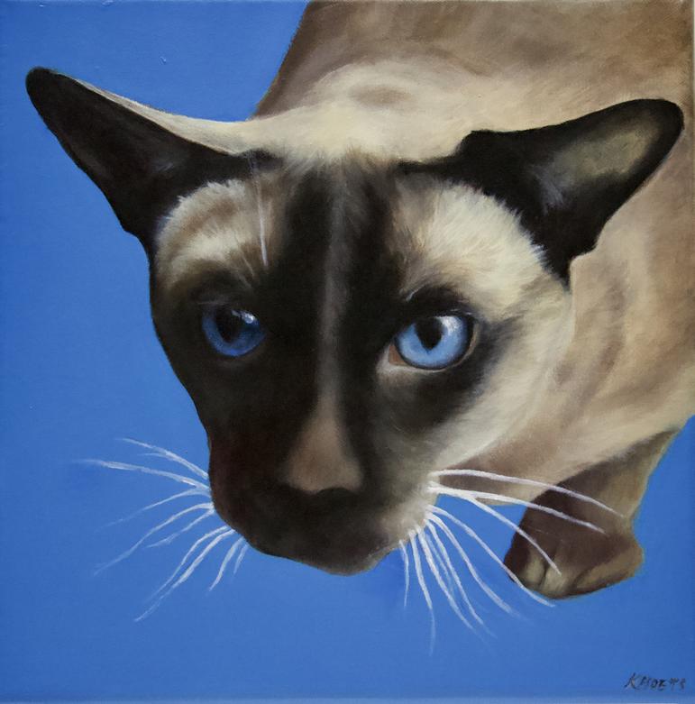 Pet Art Projects by Kathy Hoets